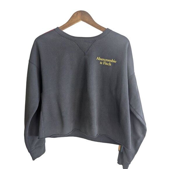 Abercrombie & Fitch Rainbow Stripe Cropped Sweatshirt Cozy & Casual Logo Sz S - Picture 1 of 10